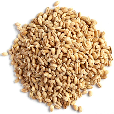 AQ Holdings is an international trading company, specialising in the trade and resale of Spices, Rice, Pulses, Peas, Grains, Legumes, Pasta and Baking Items