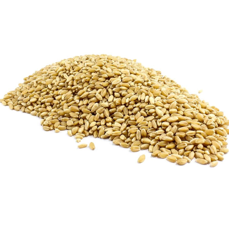 AQ Holdings is an international trading company, specialising in the trade and resale of Spices, Rice, Pulses, Peas, Grains, Legumes, Pasta and Baking Items